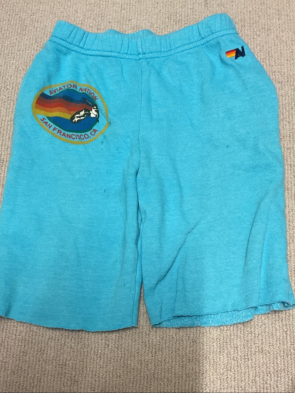 Aviator Nation Bright Turquoise Terry Shorts with Retro Patch